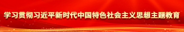 操逼视频原声又粗又大学习贯彻习近平新时代中国特色社会主义思想主题教育